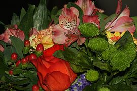 bouquet by roelof boleij