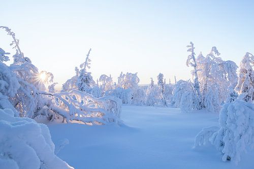 Fins Lapland