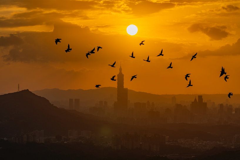 Taipei by Hello Pompoyo