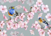 Birds blossom branches