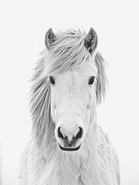 Cheval blanc – Portrait calme en noir et blanc sur StudioRemier