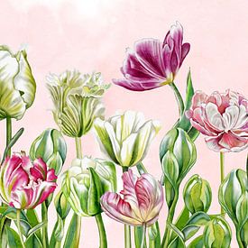 Tulpen im Garten von Geertje Burgers