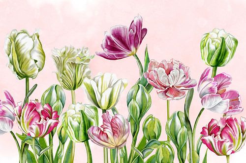 Tulips in the garden by Geertje Burgers