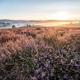 Sunrise at Posbank, Rheden von Jeffrey de Graaf