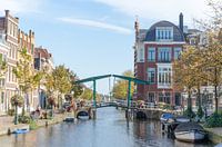 In de stad Leiden