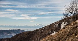 Bergen by Bassie's winkel