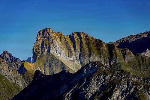 Im Licht des Schneck von Walter G. Allgöwer