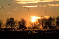 zonsondergang Volendam