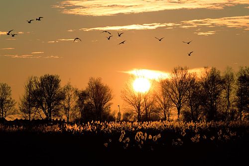 Sonnenuntergang Volendam