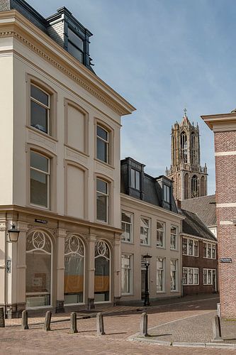 Pausdam Utrecht met zicht op Domtoren