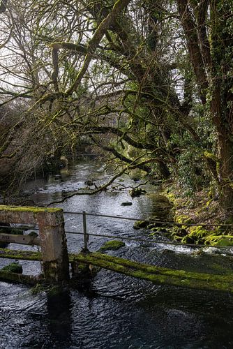 Blautopfsee in Blaubeuren met zijrivier en oude houten brug
