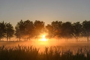 Early morning sunrise during a beautiful springtime day over the Zwartendijk near Kampen