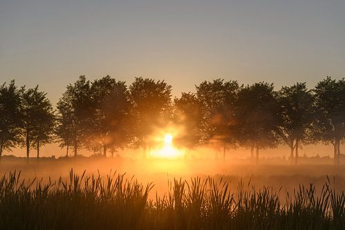 Vroege zonsopkomst tijdens een mooie lentedag over de Zwartendijk bij Kampen