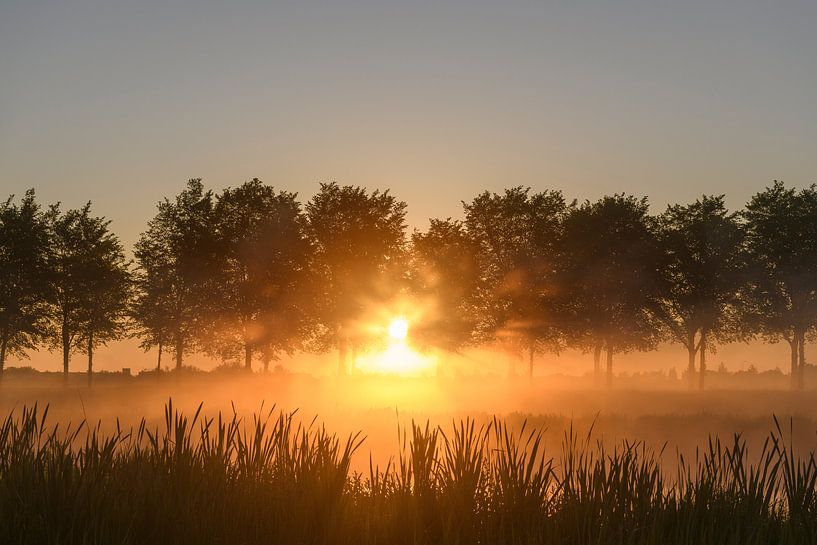 Early morning sunrise during a beautiful springtime day over the Zwartendijk near Kampen by Sjoerd van der Wal Photography
