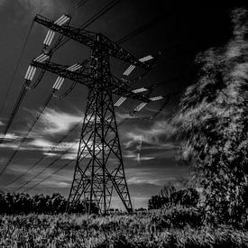 powerlines van Willem  Overkleeft