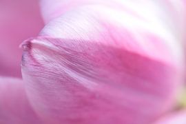 Seating torque by Augenblicke im Bild