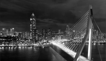Nachtelijk Rotterdam: De Erasmusbrug in Zwart-Wit