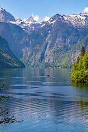 Boat trip on the Königssee in Berchtesgadener Land by t.ART