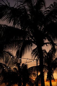 Sunset on Curacao by Laura V
