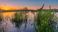 Sonnenuntergang im Nationalpark De Alde Feanen von Henk Meijer Photography Miniaturansicht