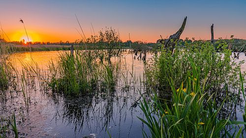 Sunset in national park De Alde Feanen