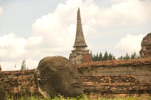 Buddha's hoofd van Olaf Piers