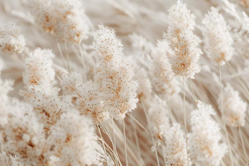 Softly moving plumes in sunlight by Imperial Art House