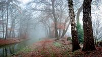 Herbst in Millingen