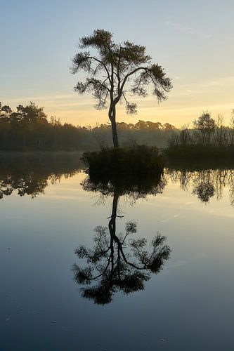 Oisterwijkse bossen en vennen