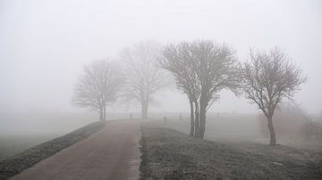 Landschap in de mist van Heiko Kueverling