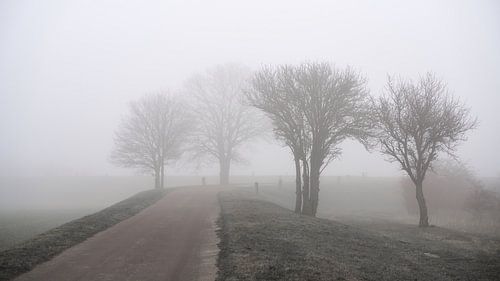 Landschap in de mist
