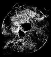 The dark terror of skulls