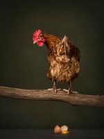 Chicken on a stick, broken egg, oops!