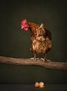 Chicken on a stick, broken egg, oops! by Mariska Vereijken thumbnail
