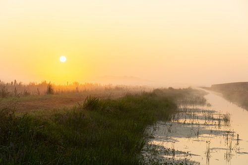 Ditch in the fog at sunrise