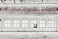 Room with windows with a view