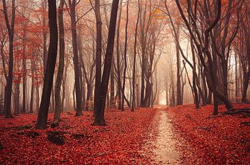 Heidnische Dichtkunst