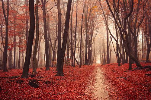 Heidnische Dichtkunst