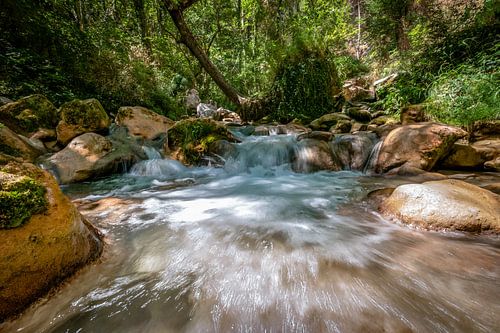 Snelstromende bergrivier in de Europese alpen