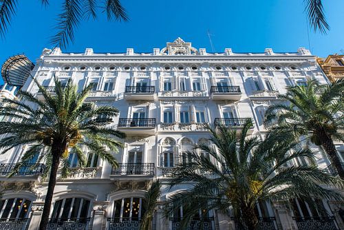 Huisgevel met palmbomen