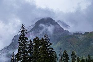 Enveloppé dans les nuages