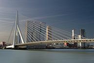 Erasmusbrug over de Nieuwe Maas in Rotterdam van Robin Verhoef thumbnail