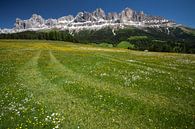 Le Rosengarten par Martijn Smeets Aperçu