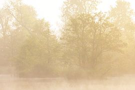 Sonnenaufgang Drenthe (Niederlande) von Marcel Kerdijk