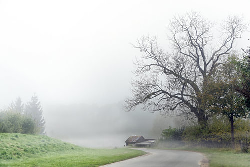 Kurvige Straße im Herbstnebel mit einem alten schäbigen Haus unter einem kahlen Baum, graue ländlich