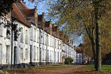 St. Alexiusbegijnhof, Dendermonde, België. van Imladris Images