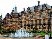 Sheffield Town Hall 1 by Dorothy Berry-Lound thumbnail