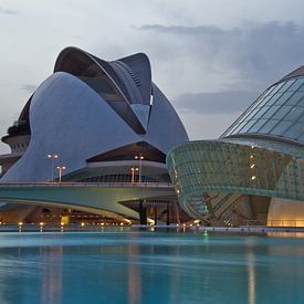 Valencia von Calatrava von Dave Lans
