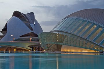 Valencia by Calatrava van Dave Lans