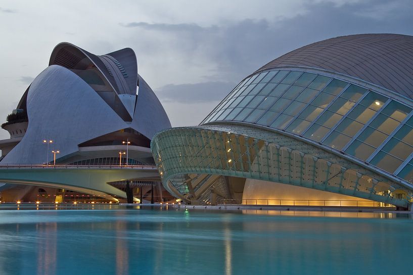 Valencia by Calatrava by Dave Lans